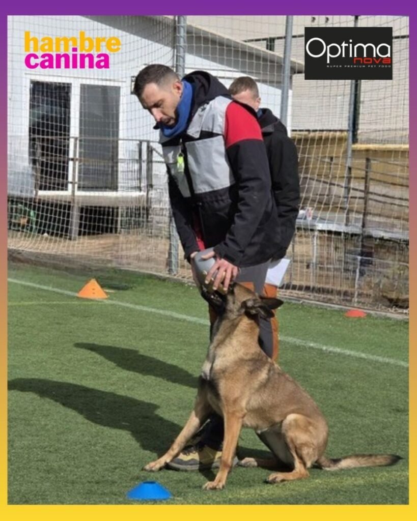 Hambre Canina mondioring